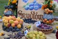 sliwka_2022_wystawa-945x630