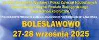 Bolesławowo