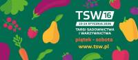 kielce tsw