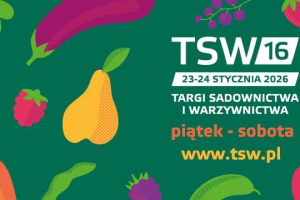 kielce tsw
