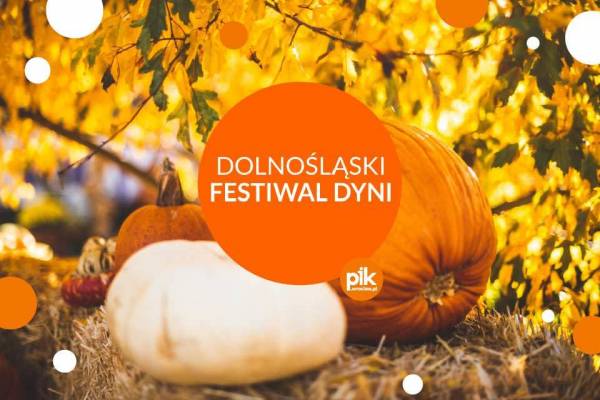 Dolnoslaski-festiwal-Dynii