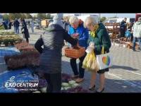 Jesienne Targi na Andersa